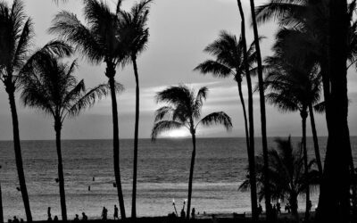 How to Make a Competitive Offer on a Luxury Beach Home in Hawaii